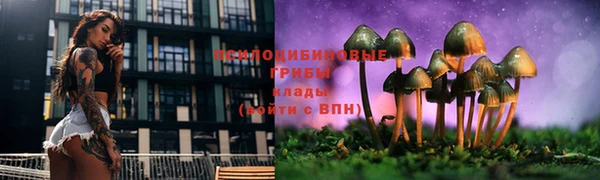 прущая мука Арсеньев