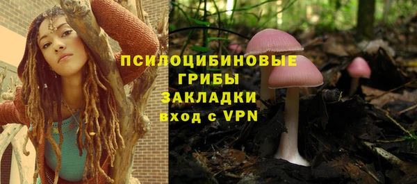 прущая мука Арсеньев