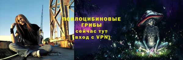прущая мука Арсеньев