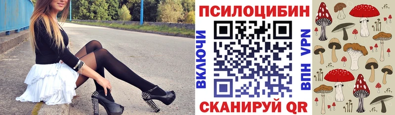 Галлюциногенные грибы Magic Shrooms  Починок 